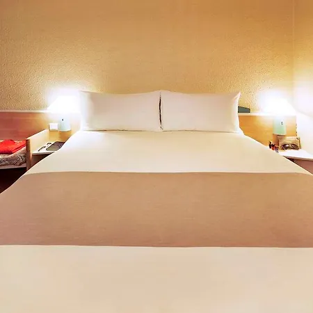Ibis Centre Gare Et Congres Hotel