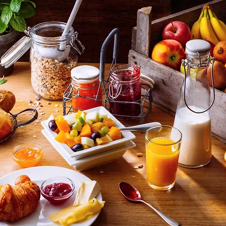 מלון Ibis Centre Gare Et Congres נאנסי