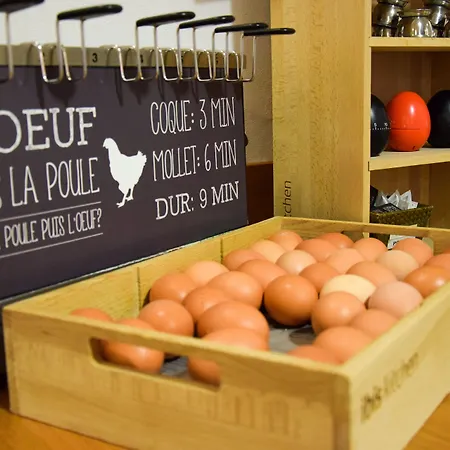 Ibis Centre Gare Et Congres Nancy