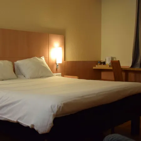 Ξενοδοχείο Ibis Centre Gare Et Congres Νανσύ