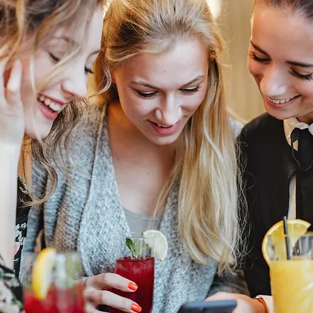 Ibis Centre Gare Et Congres מלון 3*