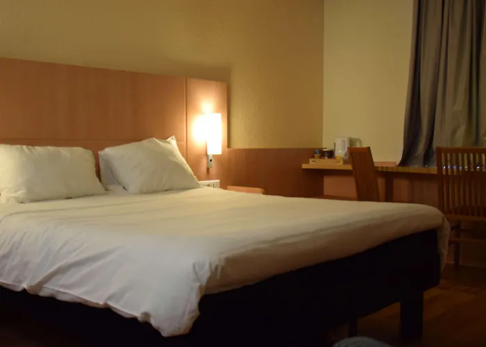 Hotel Ibis Centre Gare Et Congres Nancy