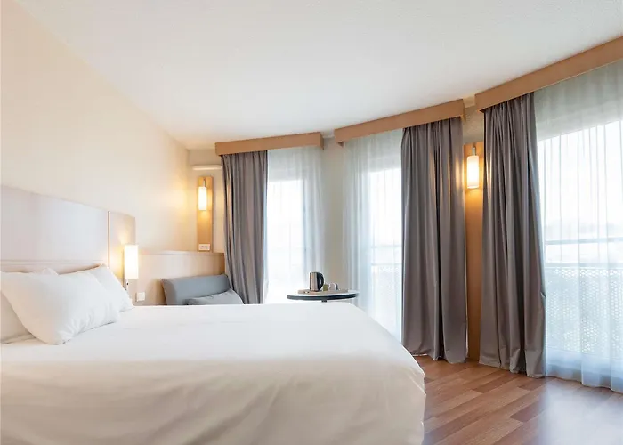 ホテル イビス サントル ガール エ コングレ ナンシー